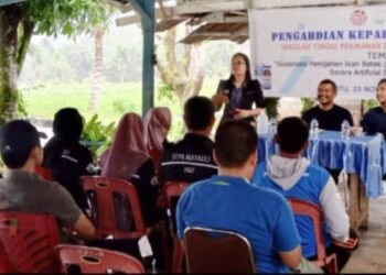Anne dan Tim Gelar Pelatihan Pemijahan Ikan Batak Secara Artificial Spawning