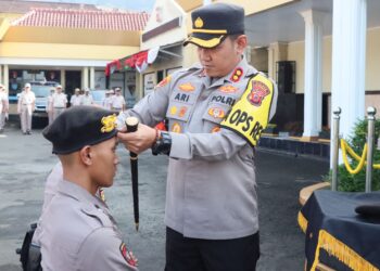 Penyematan baret