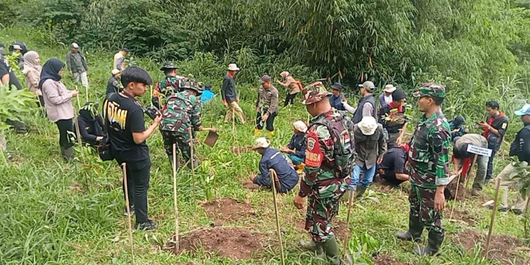 Koramil 1004 Tanjungsari, kembali Menanam Pohon di Gunung Manglayang