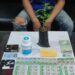 Edarkan Obat Berbahaya dan Miliki Pohon Ganja, Warga Sukabumi Diamankan Polisi