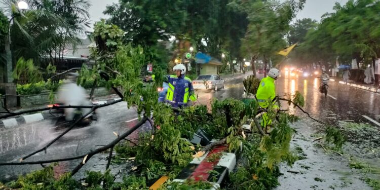 Respon Cepat Satlantas Polres Gresik Bantu Evakuasi Pohon Tumbang demi kelancaran Lalu Lintas