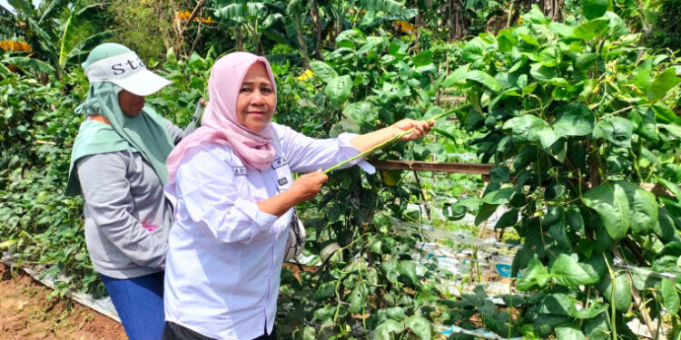 Desa Mekarsari Rajeg Jadi Lokus Rumah Pangan B2SA