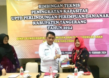 DPPA Tingkatkan Kapasitas Pelayanan UPTD Perlindungan  PPA