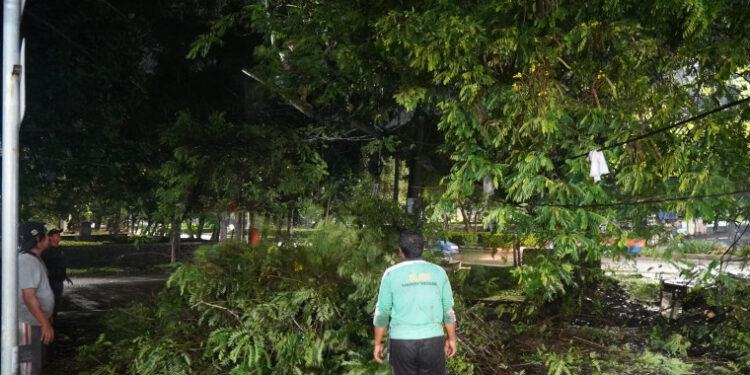 DLHK Gerak Cepat Tangani Pohon Tumbang di Area Puspemkab Tangerang