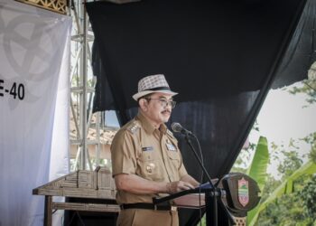 Pj Bupati Ciamis Hadiri HUT Desa Tanjung Jaya ke- 40