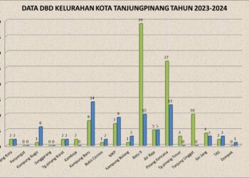 Kasus DBD Meningkat, Ini Kata Kadinkes Tanjungpinang