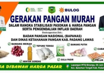 Jaga Stabilisasi Harga Pangan, Besok, Dinas Ketapang Padang Lawas Gelar Pasar Murah di Pasar Binanga