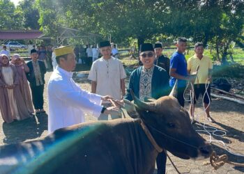 Polres Bintan sembelih 4 ekor Hewan Qurban Idul Adha 1445 H