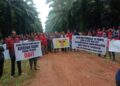 Butut Dari Sengketa Lahan Dengan Perusahaan PT. Sinar Mas Grup yang Tak Kunjung Slesai, Warga Desa Sebabi Siap Melakukan Aksi Besar besaran
