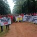 Butut Dari Sengketa Lahan Dengan Perusahaan PT. Sinar Mas Grup yang Tak Kunjung Slesai, Warga Desa Sebabi Siap Melakukan Aksi Besar besaran