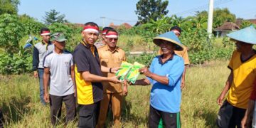 Polsek Benjeng Bagikan Bibit Jagung kepada Petani di Desa Karangan Kidul