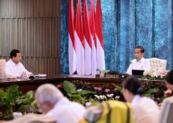 Presiden Terpilih Prabowo: Saya Tegaskan Kita Lanjutkan IKN, Kalau Bisa Percepat