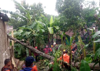 Awal November Kabupaten Sukabumi Dilanda Bencana Mulai Hujan Angin dan Longor