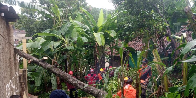 Awal November Kabupaten Sukabumi Dilanda Bencana Mulai Hujan Angin dan Longor