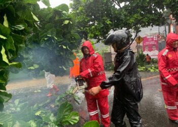 Bareng Warga, Polres Sukabumi Kota Evakuasi Pohon Tumbang Yang Tutupi Jalan