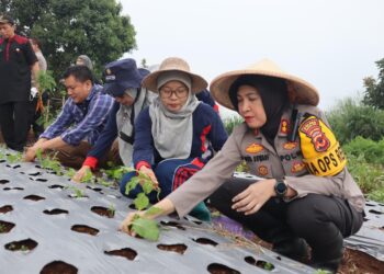 Kapolres Sukabumi Kota Tinjau Lokasi Ketahanan Pangan 