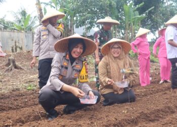 Dukung Asta Cita Presiden RI, Polres Sukabumi Kota Tanam 5000 Bibit Jagung di Mapolsek Warudoyong