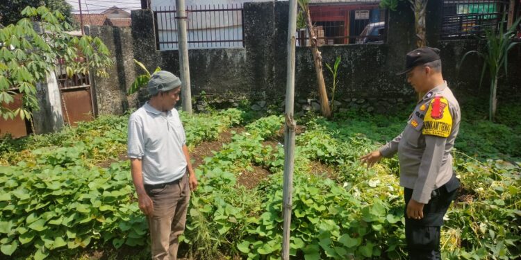 Polsek baros laksanakan Penuhi Ketahanan Pangan