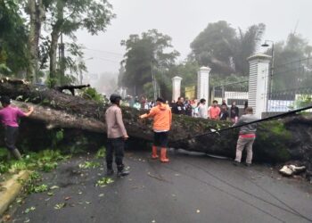 Bareng BPBD dan Warga, Polsek Sukabumi Evakuasi Pohon Tumbang