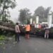 Bareng BPBD dan Warga, Polsek Sukabumi Evakuasi Pohon Tumbang