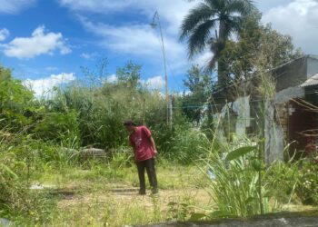 Seorang Kakak di Dihabisi Adiknya Hingga Tewas Pakai Samurai