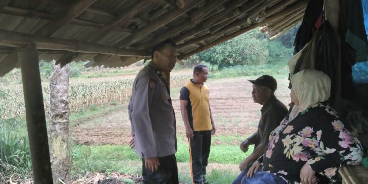 Polsek Baros Dukung Ketahanan Pangan, Tinjau Lahan Siap Garap Bersama Kelompok Tani