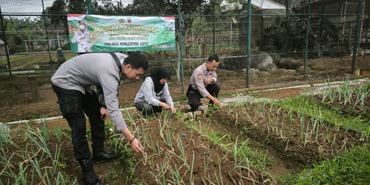 Dukung Ketahanan Pangan, Bhabinkamtibmas Cisarua Kontrol dan Edukasi Pemanfaatan Lahan Pekarangan