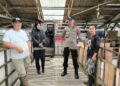 Polsek Sukaraja Sambangi Kelompok Ternak Domba Garut, Dukung Ketahanan Pangan