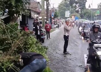 Kompak, Polantas, BPBD dan PLN di Sukabumi Evakuasi Pohon Tumbang