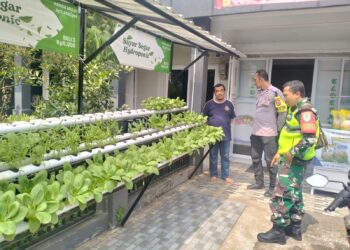 Budidaya Tanaman Hidroponik Sinergitas TNI-Polri bersama warga Sudajaya Dukung Ketahanan Pangan Nasional