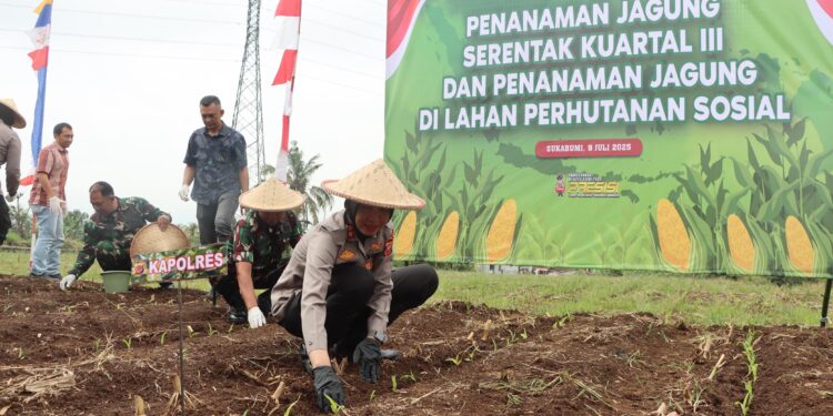Polres Sukabumi Kota Gelar Penanaman Jagung Serentak Kuartal III tahun 2025