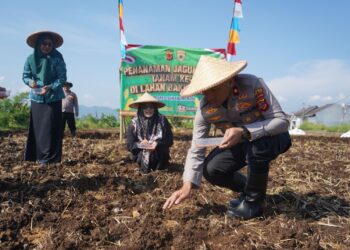 Polres Sukabumi Kota Gelar Penanaman Jagung Masa Tanam 3