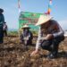 Polres Sukabumi Kota Gelar Penanaman Jagung Masa Tanam 3