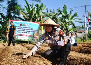 Dukung Ketahanan Pangan, Polres Sukabumi Kota Tanam Jagung di Lahan Ponpes