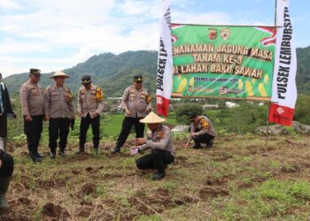 Dukung Ketahanan Pangan Nasional, Polres Sukabumi Kota Kembali Tanam Jagung