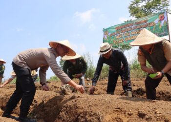 Peringati Hari Tani Nasional 2025, Polres Sukabumi Kota Tanam Jagung Bareng Petani
