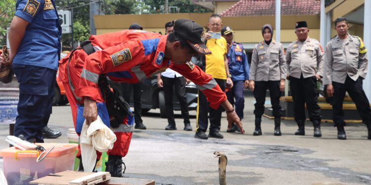 Gandeng Damkar, Polisi di Sukabumi Dilatih Tangani Kebakaran dan Ular Berbisa