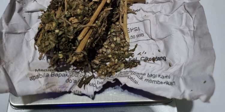 Edarkan Ekstasi dan Ganja, Warga Warudoyong Sukabumi Diciduk Polisi