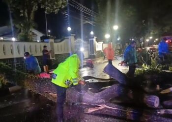 Petugas Gabungan Evakuasi Pohon Tumbang di Rumdin Kasecapa Lemdiklat Polri Sukabumi