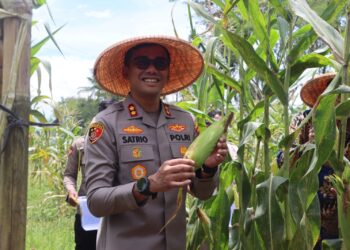 Hadiri Panen Raya Jagung Serentak, Kapolres AKBP Ardian Sebut Sinergi Jadi Kunci