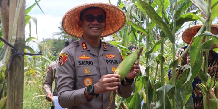 Hadiri Panen Raya Jagung Serentak, Kapolres AKBP Ardian Sebut Sinergi Jadi Kunci