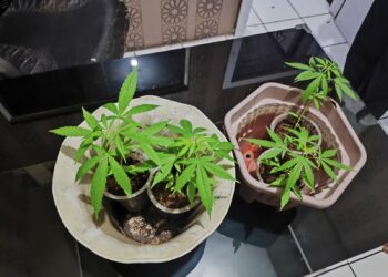 Polres Sukabumi Kota Ungkap Dua Kasus Narkotika, Empat Tersangka Diamankan