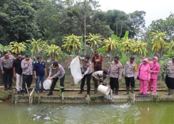Tebar Bibit Ikan Nila, Kapolres Sukabumi Kota Resmikan Green House Binaan