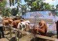 Polres Sukabumi Kota Distribusikan Hewan Qurban untuk Puluhan Penerima Manfaat