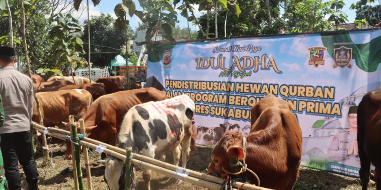 Polres Sukabumi Kota Distribusikan Hewan Qurban untuk Puluhan Penerima Manfaat