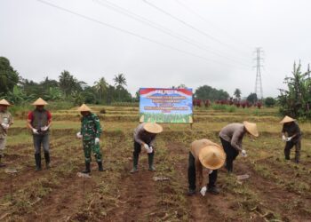 Perkuat Ketahanan Pangan, Polres Sukabumi Kota Gencarkan Penanaman Jagung